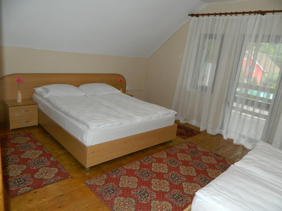 Cabana Florea Villa Rîu de Mori Esterno foto