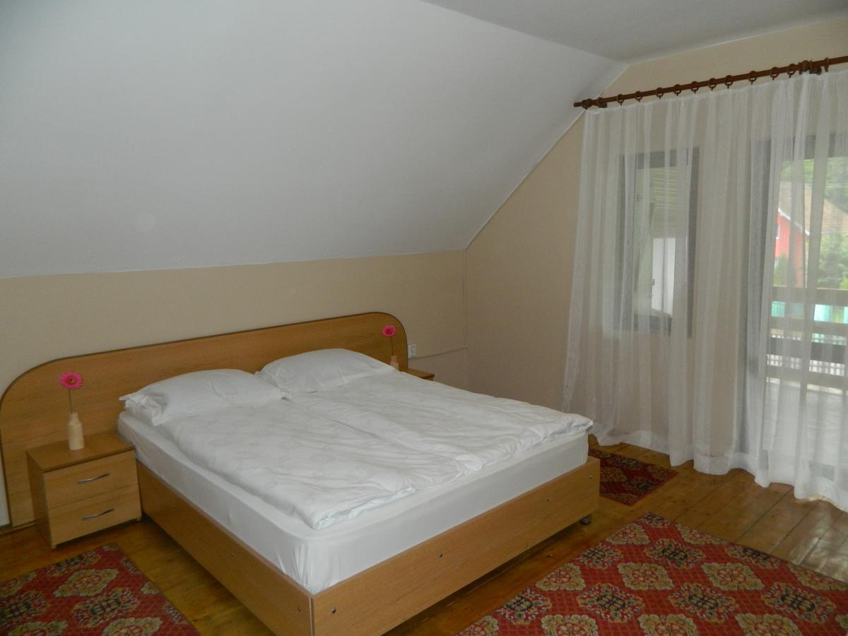 Cabana Florea Villa Rîu de Mori Esterno foto